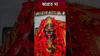 জাগ্রত মা শ্মশান কালী  Asansol Bogra Samshan Kali  shorts viral trending kalipuja maakali [upl. by Elocin]