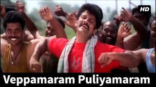 saamy vikram வேப்பமரம் புளியமரம் Veppamaram Puliyamaram Saamy  Vikram  Tamil Video Song [upl. by Nyret]