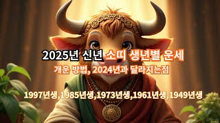 2025년 신년 소띠 생년별 운세  개운 방법 2024년과 달라지는점 [upl. by Sisak344]