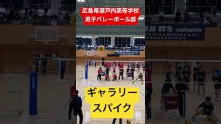 ギャラリースパイク shorts 瀬戸内高校男子バレーボール部 春高バレー 春高予選 [upl. by Eeznyl]