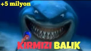 Femberi amp Bensen  Kırmızı Balık Şarkısı Herkes için bir Hikaye [upl. by Cerveny]