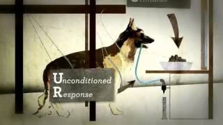 Psyc 104 Week 3  Classical Conditioning Pavlov [upl. by Jodoin]