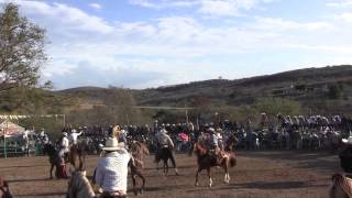 Toro de Lidia bien bravo en Cascalote de Bravo Toros del Sabado Marzo 28 2015 [upl. by Alda133]