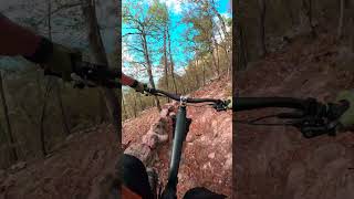 Cooper canyon mtb outdoors chihuahua bike mountainbike gopro nature [upl. by Octave]