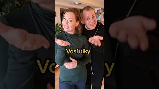 Jak to máte vy Vosí  včelíhnízda úlky [upl. by Smukler]