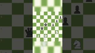 Brave pawn gets sacrifice of him [upl. by Nanni]