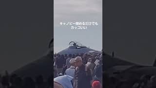 F15キャノピーグロース航空自衛隊岐阜基地航空祭2024 サイクルアーミー戦闘機F15 [upl. by Acimehs]