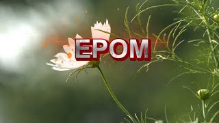 EPOM  27th OCTOBER 2024  DIAMOND TV WAHONG RADIO [upl. by Ammeg]