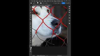 Two Mints Tricks EASILY Remove a FENCE Using PHOTOSHOP photoshop viraltrick [upl. by Namielus719]