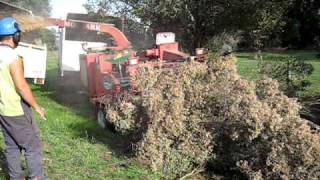 Tree chipper morbark 2400 143hp john deere TD [upl. by Cristen]