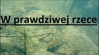 Życie w prawdziwej rzece [upl. by Namqul]