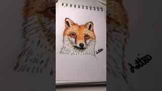 Fox drawing 🦊 ✍️ art fox drawing sketch artist redfox [upl. by Sanford]