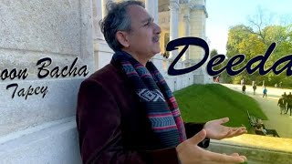 Haroon Bacha Deedan New Pashto Song 2024 [upl. by Anaehr]