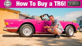 Triumph TR6 Buying Guide  EVERYTHING To Know About The British Brute Sports Car [upl. by Aicul434]