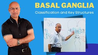 Basal Ganglia Classification and Key Structures  Neuroanatomy [upl. by Vig]