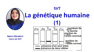 SVTBacBiofGénétique humaineCaryotypeArbre généalogiqueElécrophorèse Allèle récessif autosomal [upl. by Azrim714]