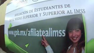 Afiliación de estudiantes en Nuevo León [upl. by Idnam307]