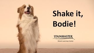 STAINMASTER® PetProtect®  Shake it Bodie [upl. by Airamesor]