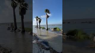 🛑WATCH OUT🛑 High Water amp Debris in the Streets  Rockport TX flood shorts [upl. by Narhem241]