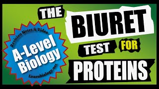 The Biuret Test  Biochemical Food Tests For A Level Biology and GCSE Biology [upl. by Anawt]