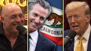 Trump On Gavin NewSCUMs California quotStupidquot  Joe Rogan amp Donald Trump [upl. by Vachil]