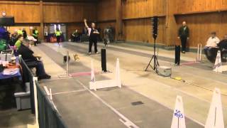 Fast Flyball Box Turns [upl. by Schindler304]