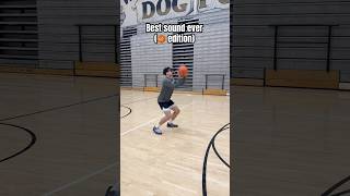 Best Sound Ever swish best sound ever basketball edition [upl. by Dulcy]