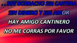 BORRRACHO SIN CANTINA VICENTE FERNANDEZ KARAOKE SAUL NAVA [upl. by Masry]