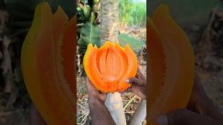 PAPAYA FRUIT  AMAZING FRUITS CUTTING SKILLS P8 shorts [upl. by Christan714]