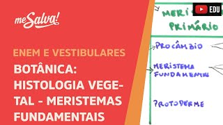 Me Salva BOT16  Botânica  Histologia vegetal meristemas fundamentais [upl. by Lidaa825]