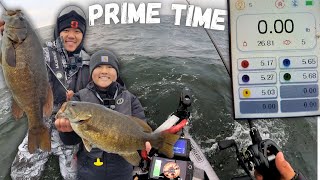 PRIME Time Fishing on Mille Lacs Lake BEST TRIP YET [upl. by Ttevi]