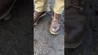 Red Wing Iron Rangers shine bright like a diamond D [upl. by Jankey]