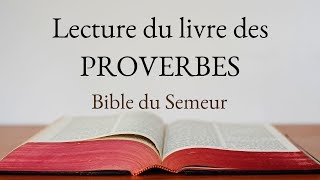 PROVERBES Bible du Semeur [upl. by Marolda]