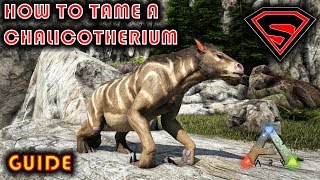 ARK HOW TO TAME A CHALICOTHERIUM 2019  EVERYTHING YOU NEED TO KNOW ABOUT TAMING A CHALICOTHERIUM [upl. by Daryl]