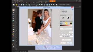 PaintShop Pro Tutorial Best Shortcut to Perfect Skin Tones [upl. by Icyac299]