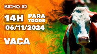 Resultado ao vivo PARATODOS  14H  PT  06112024 [upl. by Aisanahta]