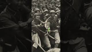 The Taiping Rebellion and its Impact on the Qing Dynasty history education documentary [upl. by Nnaegroeg699]