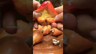 Cashew water  air jambu monyet cashew fruit guava water [upl. by Pansy724]