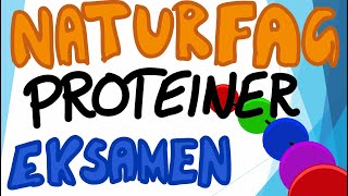 Naturfag muntlig eksamen  Næringsstoffene Proteiner [upl. by Zilada900]