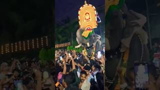 Trkadavur shivaraju thootha Pooram Cherpulassery Pattambi Palakkad Kerala elephant pooram [upl. by Ellerihs450]