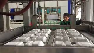 Bagasse pulp biodegradable pulp food packaging production process [upl. by Ethelstan208]