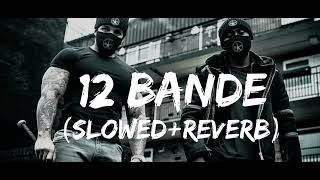 12 BANDE slowed Reverb [upl. by Lexi]