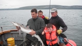 Pêche en mer Irlande pêche au requin hâ avec Max Couque guide de pêche français en Irlande [upl. by Suqram]