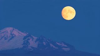 quotSpunta la luna dal montequot Pierangelo Bertoli e Tazenda [upl. by Asselim21]