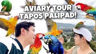 FIRST FREE FLIGHT SA ANTIPOLO  MINI HOUSE amp AVIARY TOUR MURILLO BROS [upl. by Nathanael]