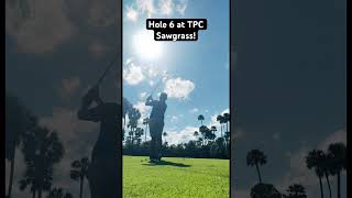 Hole 6 at TPC Sawgrass music golf golfcourse tpcsawgrass golftournament viralvideo [upl. by Whallon]