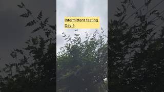 Are you doing intermittent fasting with me youtubeshorts weightlossjourney whatieatinaday [upl. by Bever]