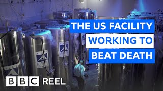 Inside the US lab freezing the dead at 196C  BBC REEL [upl. by Giulietta]