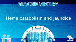 L2 Heme catabolism red blood cell destruction Biochemistry [upl. by Eba]