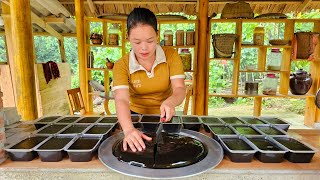 Full VIDEO 250 days of making Black Jelly Sticky Rice Cake Harvesting Tangerines Market To Sell [upl. by Schram]